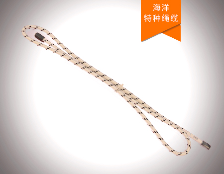 深海潛標數據實(shí)時(shí)傳輸繩纜