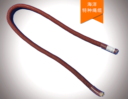 防海洋生物附著(zhù)繩索